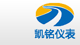 金湖凱銘儀表有限公司LOGO